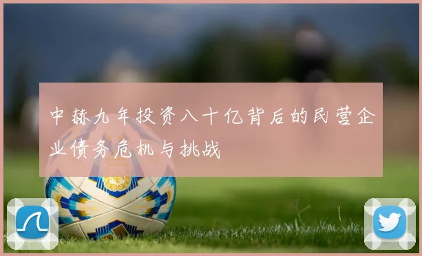 中赫九年投资八十亿背后的民营企业债务危机与挑战
