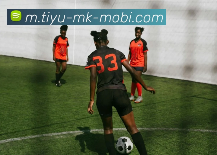 多媒体互动体验